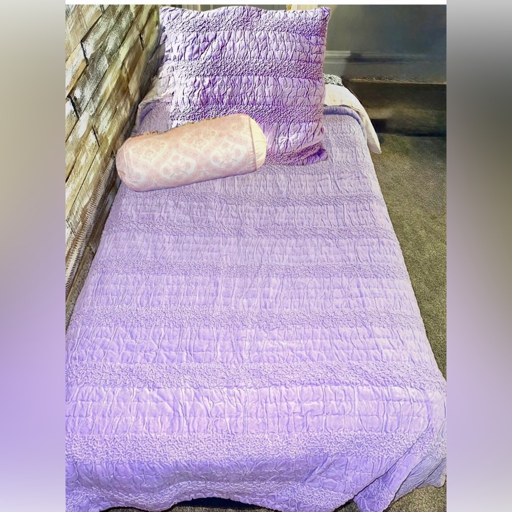 🪻Pottery Barn Kids Purple Velvet Twin Quilt Set🪻